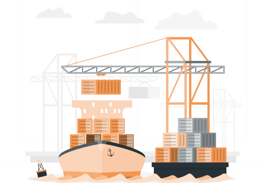 Portfolio Image